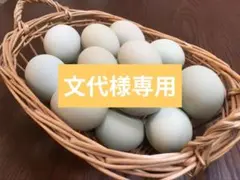 文代様専用　青いたまごアローカナ　平飼いたまご48個