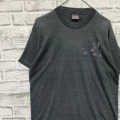 USA製90sヴィンテージTシャツ！シングルステッチグレー古着M0626