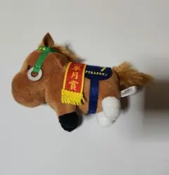 サラブレッドコレクション　アグネスタキオン　タグ無し