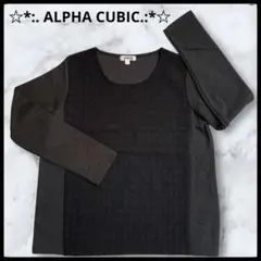 ALPHA CUBIC ダークグレー 長袖ニット　 L size ブラック