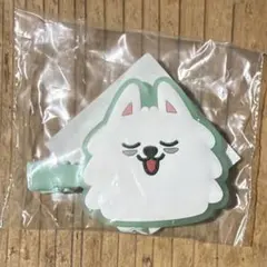 TXT プルバトゥ ヘアクリップ　ヨンモン　スビン