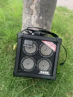 Roland MICRO CUBE BASS RX ベースアンプ ACアダプタ - メルカリ