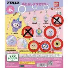TRUZ TREASURE めじるしアクセサリー