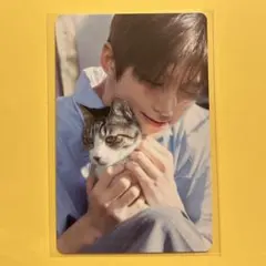 TWS はじめまして ポップアップ ジフン トレカ