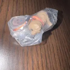 おぱんちゅうさぎ わんころ トイプードル