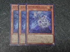 白き森の聖徒リゼット　スーパー　3枚セット