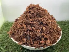 Item thumbnail for item 919d8daf-2f24-4073-9385-a2f0a33a44e0