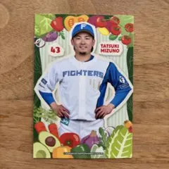 KUBOTA AGRI FRONT 限定トレカ ファイターズトレカ