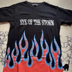 ONE OK ROCK -eye of the storm-tシャツL