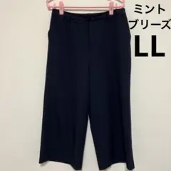 ミントブリーズ　ワイドパンツ　大きいサイズ