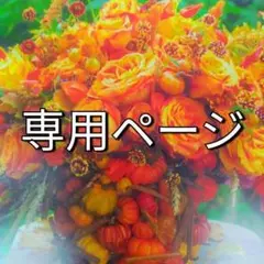 ◇ひーちゃん◇様　専用