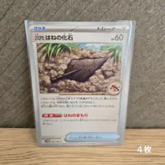 古びたはねの化石 トレーナーズカードグッズホワイトフレア