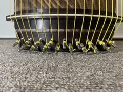 Item thumbnail for item 52b3378b-c6b1-4f28-a675-9f2016d4aafa