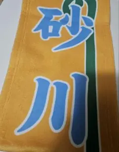 Item thumbnail for item 071333d8-d0da-4bd4-95e0-47e9931cd386