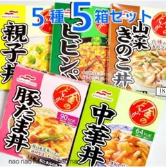 新日本プロレス 金のラーメンどんぶり 4点セット 新日本プロレス 金のラーメンどんぶり 4点セット - メルカリ
