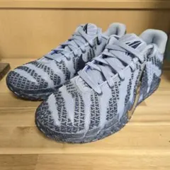 Nike JA3 EP【中古、26.5㎝】
