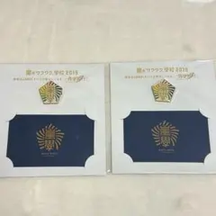 嵐 ワクワク学校2019 グッズ 【復刻版校章バッジ】