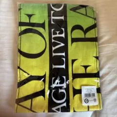 RAMPAGE RAY OF LIGHTツアー マフラータオル 最終値下