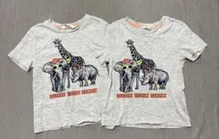 H&M キッズ　半袖 Tシャツ 2枚セット 110-116cmのサムネイル