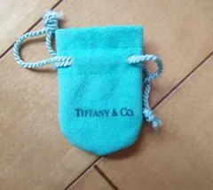 Tiffany & Co. ターコイズポーチ