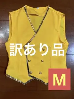 訳あり品 ツイステッドワンダーランド　サバナクロー寮 ベスト
