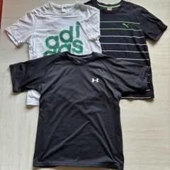 スポーツブランド　3点　Ｔシャツセット