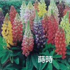 emi様 リクエスト 4点 まとめ商品