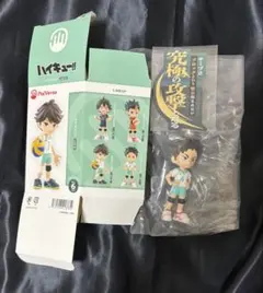 【未使用】ハイキュー PalVerse 岩泉一