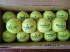 Item thumbnail for item 663ccb43-0562-4dcb-b6e0-74e06ce6b416