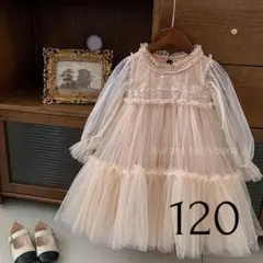 Item thumbnail for item 82c5c480-315f-4481-842c-1a0513eea0ce