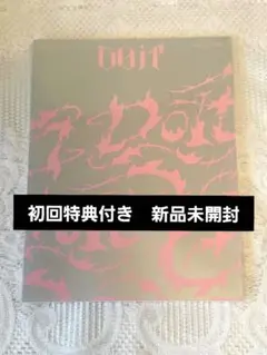 【新品未開封】Stray Kids スキズ DO IT 通常盤【初回特典付き】