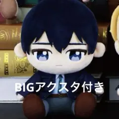 フクヤキャラ福くじ A賞 おすわりぬいぐるみ 忘却バッテリー　清峰葉流火　計5点 フクヤキャラ福くじ A賞 おすわりぬいぐるみ 忘却バッテリー 清峰葉