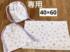 みっす様ハンドメイド　ランチョンマット　いちご柄　40×60 巾着　3点セット