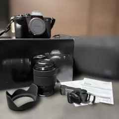 15895ショット美品ソニーα7 II ILCE-7M2K ズームレンズキット - メルカリ