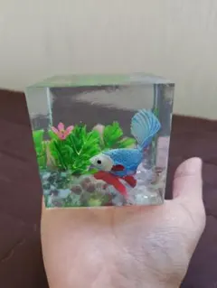 金魚と水草の立体オブジェ