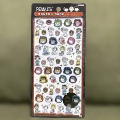 R*i様 スヌーピー ボンボンドロップシール　ミニ