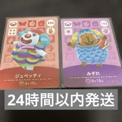 こう様まとめamiiboカード みぞれ ジュペッティ アクリル サブリナ