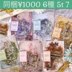 5t-7／コラージュ素材　紙素材　紙もの　メモ　セット　まとめ売り　3