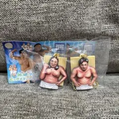 体格ブラザーズ ビッグボディーコレクション 額装キーホルダー 2個セット
