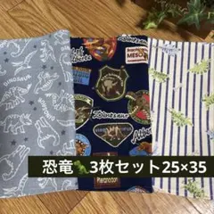 【*˙︶˙*お買い得】①恐竜ランチョンマット25×35 3枚セットハンドメイド