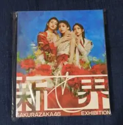 櫻坂46 新せ界 図録のサムネイル
