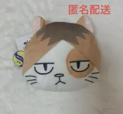 ハイキュー　しまむら　孤爪研磨　ケンマネコ　ポーチ