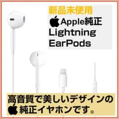 【新品・未使用】iPhone Apple イヤホン 純正 ライトニングイヤホン