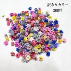 マトリカリア カラフルミックス ドライフラワー M-903 | Mercari