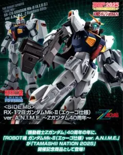 2026年最新】ROBOT魂 ガンダムMk-II（エゥーゴ仕様） ver. A.N.I.M.E.