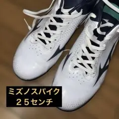 野球スパイク２５センチ