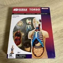 4D 인체 몸체 모델 32 부품 미개봉