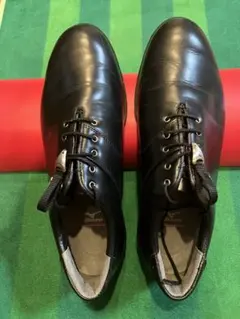 ★新品未使用★MIZUNO ゴルフシューズ 25.0 EE ブラック 2025年最新】MIZUNO ゴルフ シューズ(男性用)の人気アイテム