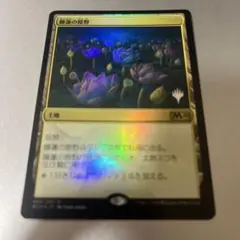 MtG 睡蓮の原野/Lotus Field 英語 星景 ４枚 MtG 睡蓮の原野/Lotus Field 英語 星景 4枚