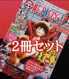 ONE PIECE magazine ワンピース　マガジン　カードなし 2冊